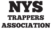nys logo